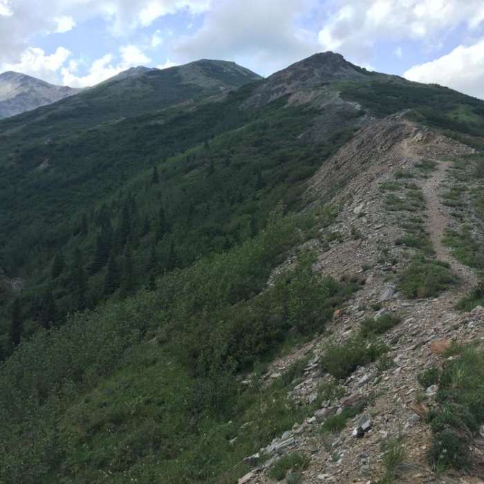 Near Antler Creek Near Antler Creek