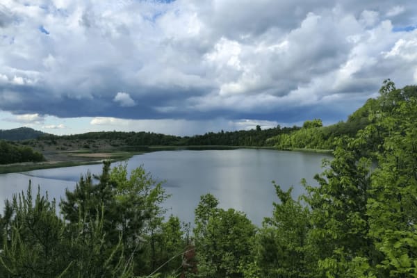 Four Seam Branch Pond