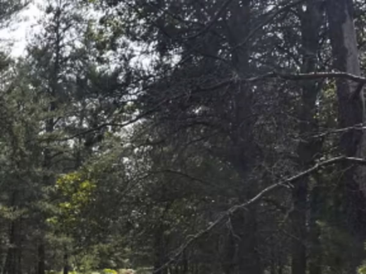 Trail 10 photo 5
