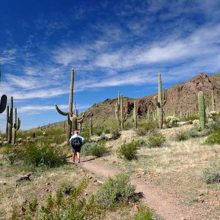 Near Picacho Peak via Sunset Vista