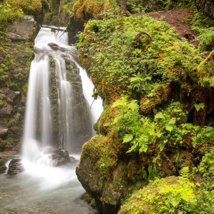 Near Virgin Creek Falls