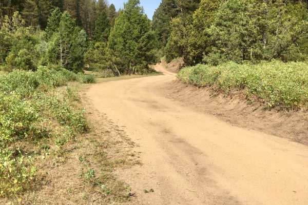 North Fork Road