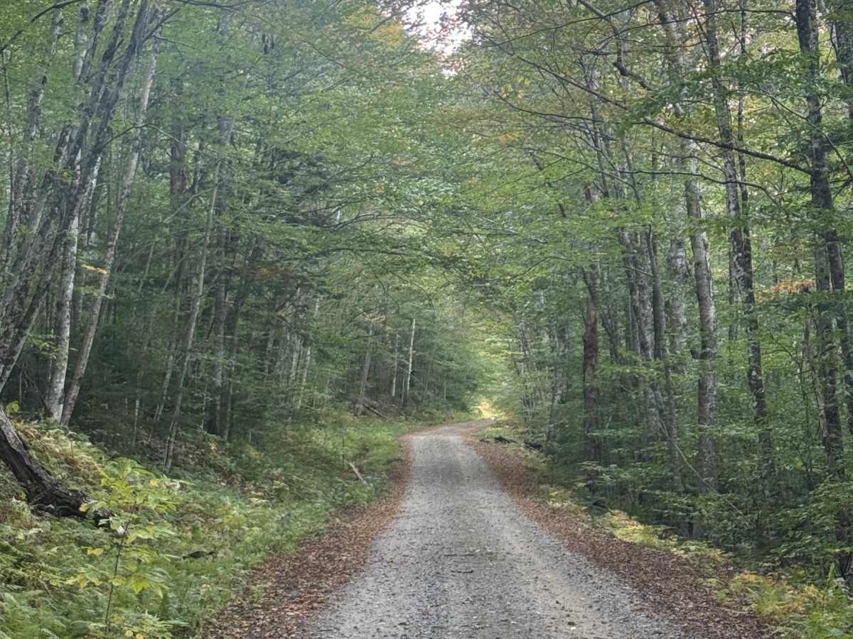Hubbard Brook Road  trail photo