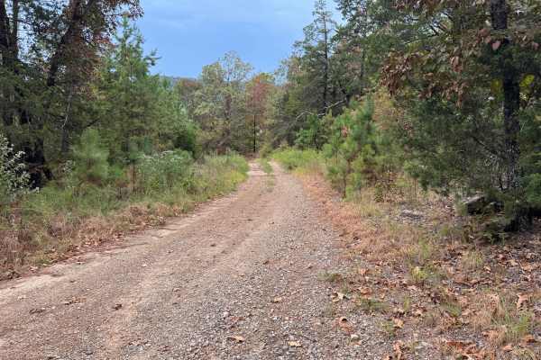 Hickory Grove