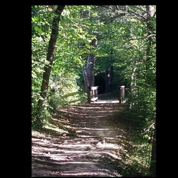 One of the many bridges found during a walk or run on the Buffalo Lake trail. Near Buffalo Lake Trail