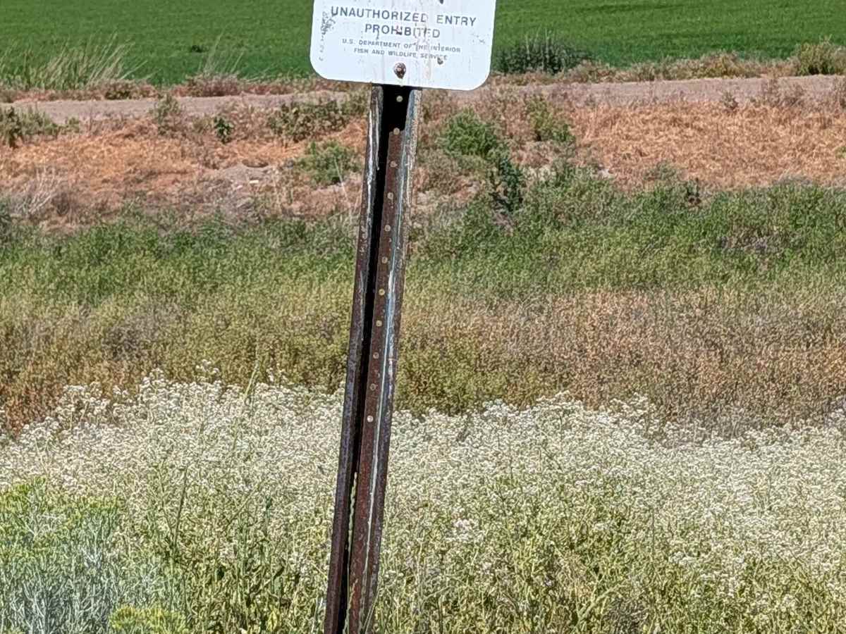 Lower Klamath Road photo 4