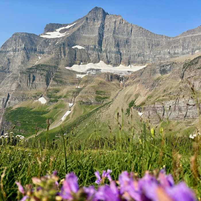 Near Continental Divide Trail: Siyeh Pass Alternate