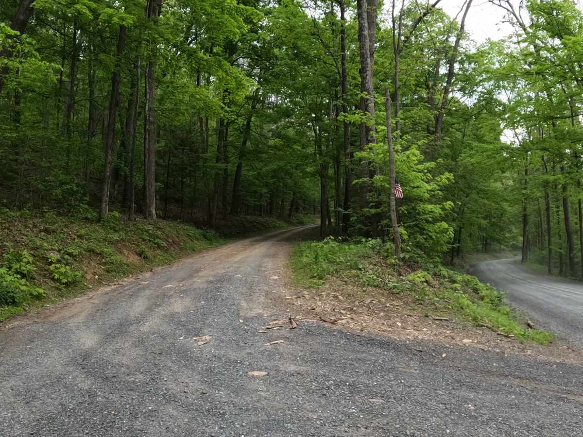 Vincent Tram Road trail photo