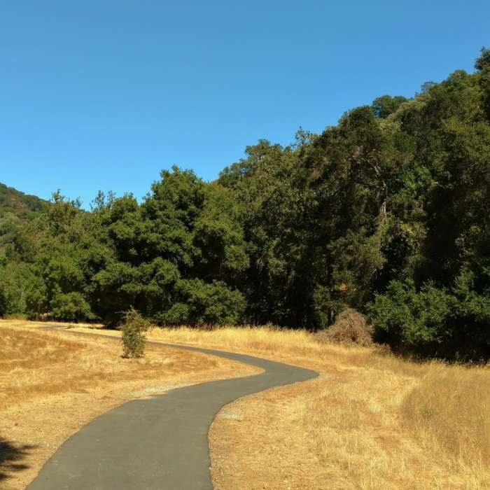 Near Llagas Creek Loop Trail