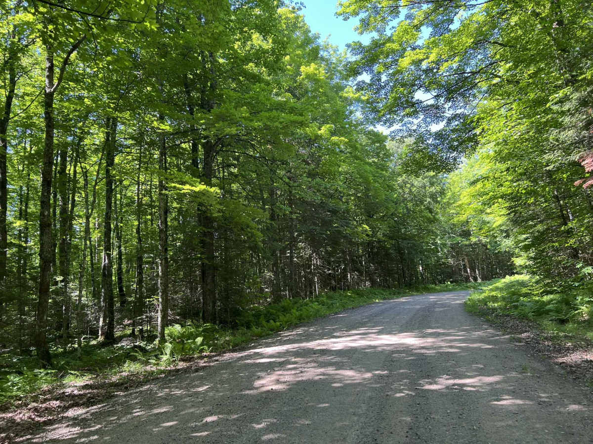 Peshtigo River Road - FS 2131 photo 6