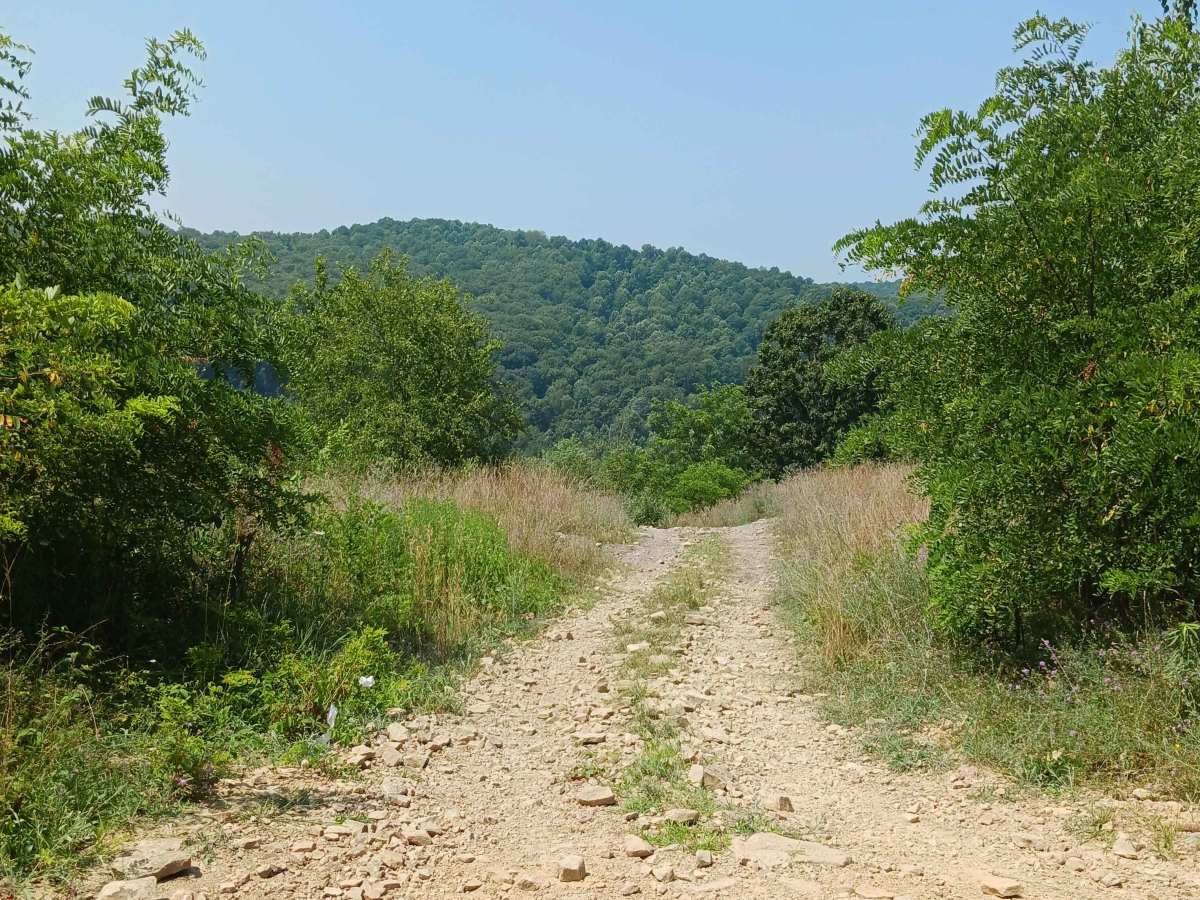 Big Buck Hill - Rock Run Recreation Area trail photo
