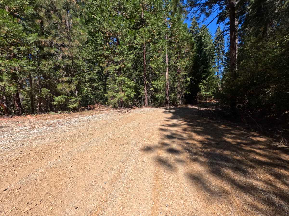 Harrison Ridge - FS 21N20 photo 6