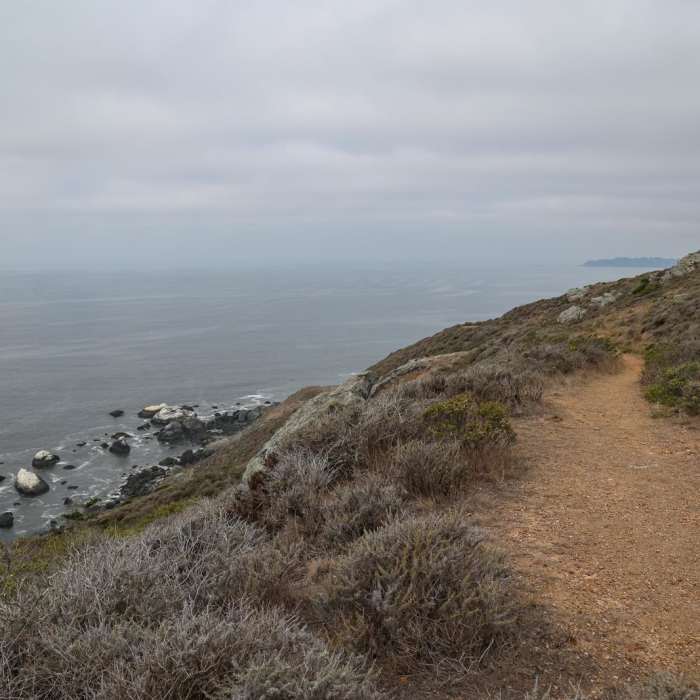 Near Rocky Point Trail