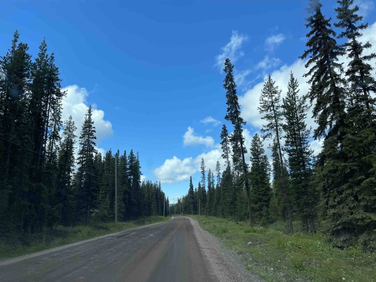 Telkwa 1000 Road photo 2