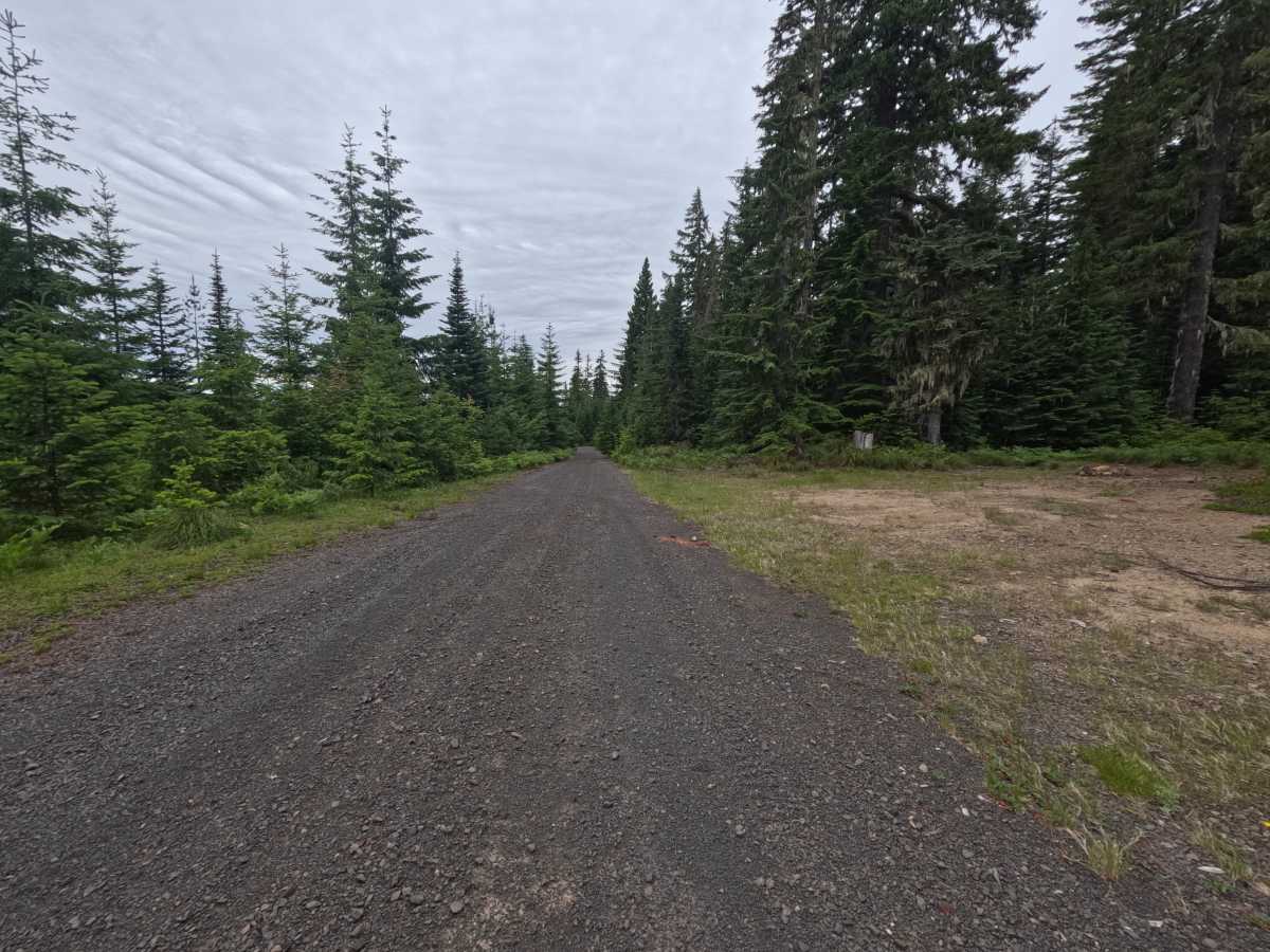 FS 2334015 photo 5