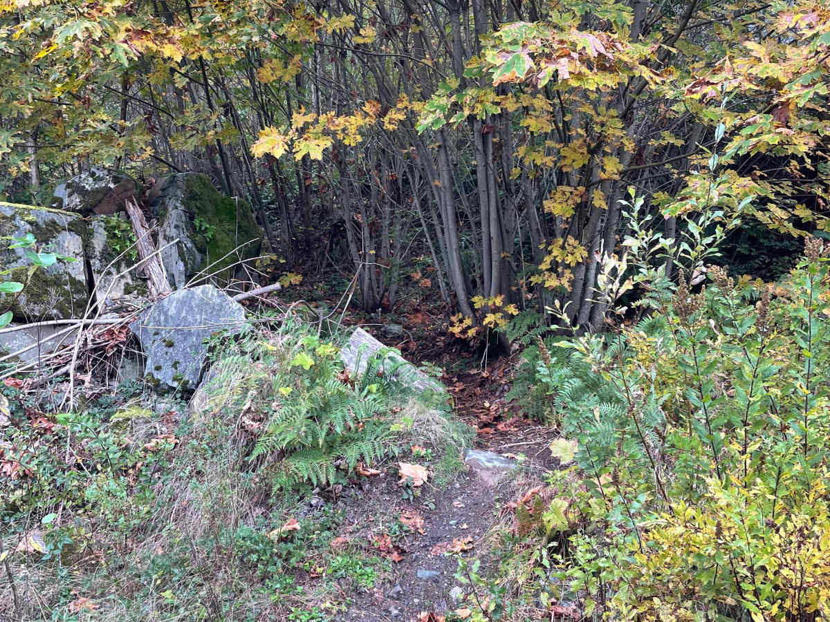 Trials Zone Connector photo 5
