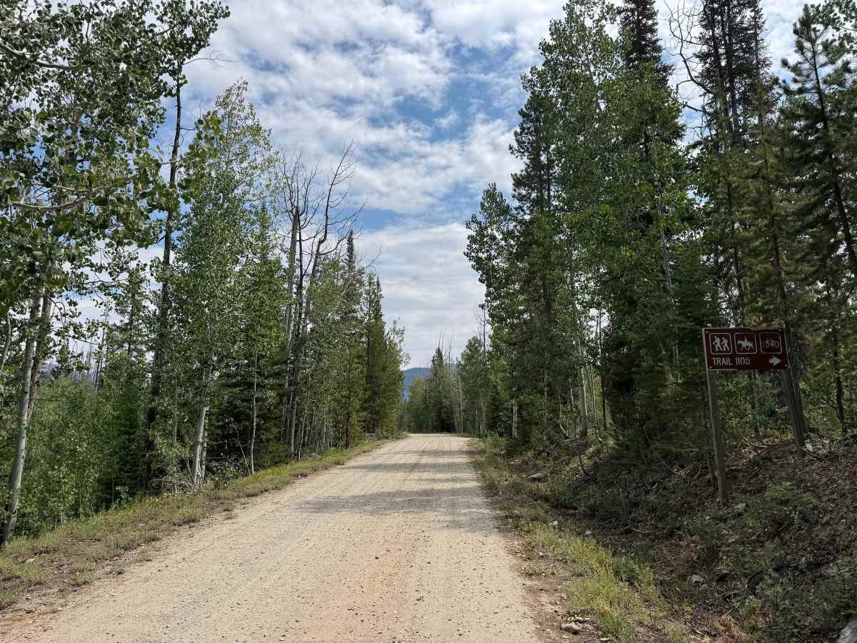 South Elk River Road photo 5