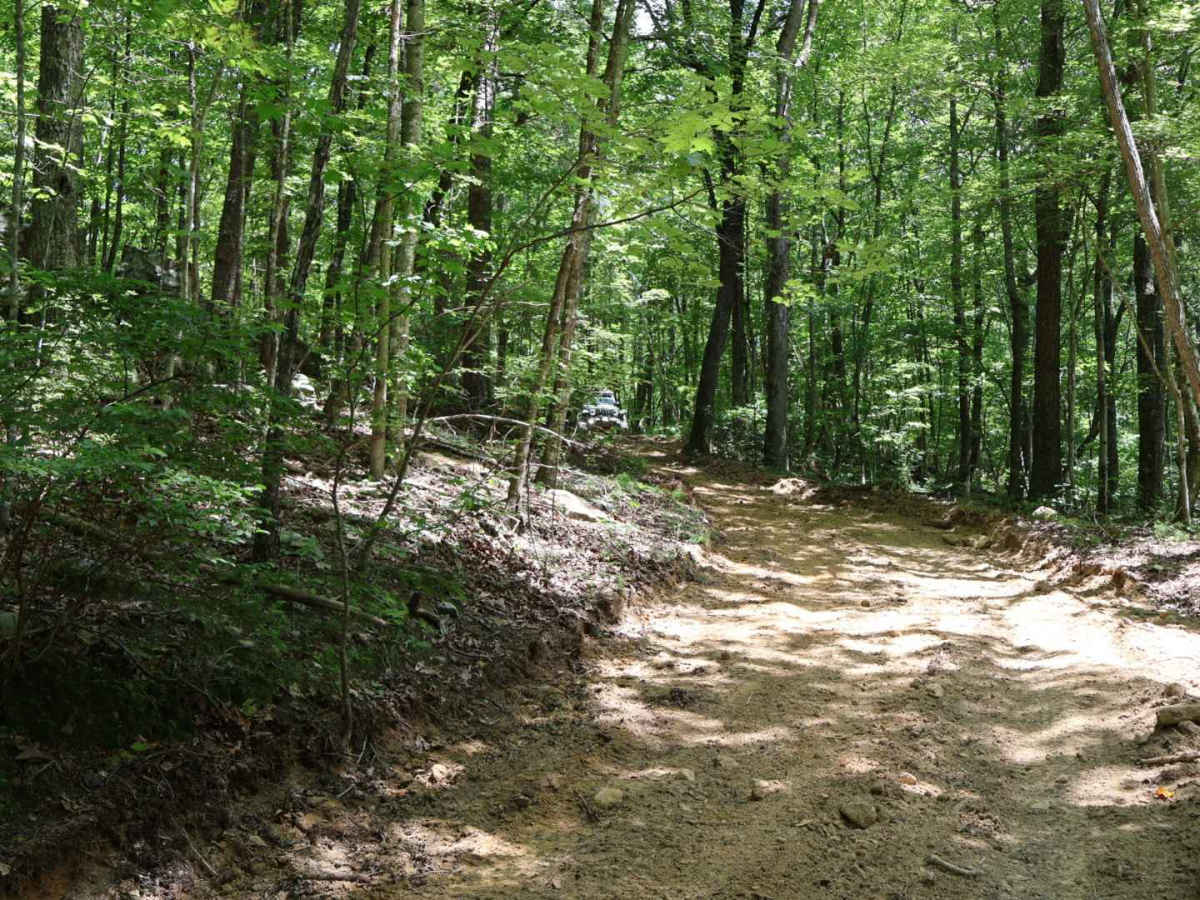 Shingle Loop photo 2