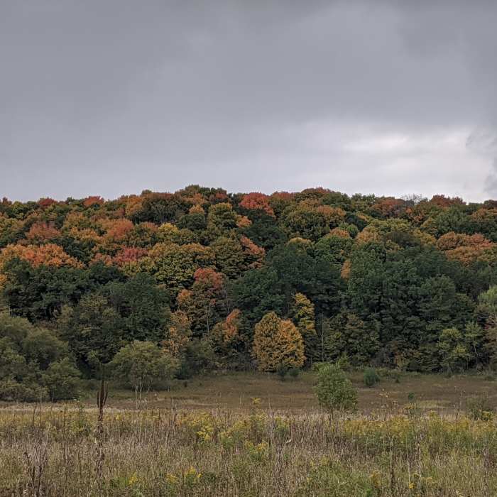 Near Ice Age Trail: Loew Lake Segment