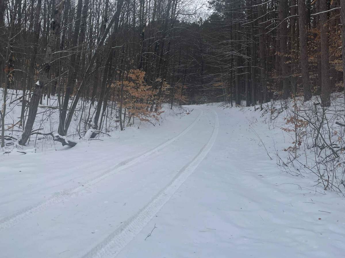 Brush Lake Access Trail - FS 5691 photo 5