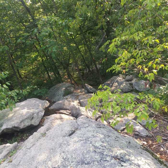 Sometimes you're going over the boulders and sometimes through them, nothing to difficult, lots of families with kids. Near Pyramid Mountain-Kakeout Reservoir Loop