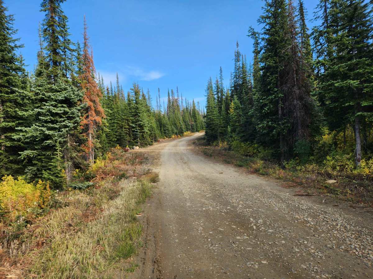 Hawkins Lakes photo 5
