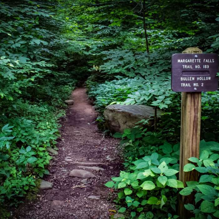 Near Margarette Falls