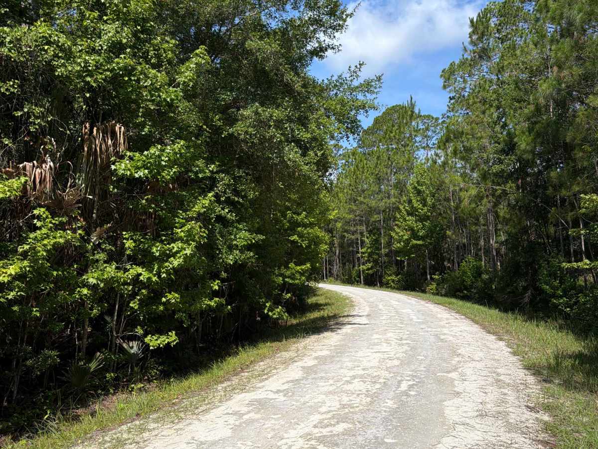 Bluffton Road photo 2