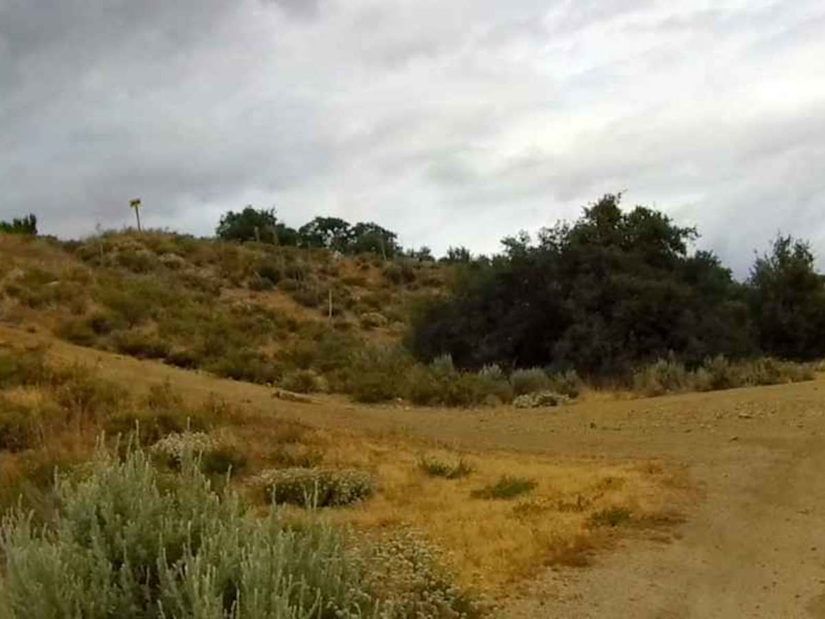Meadows Trail photo 6