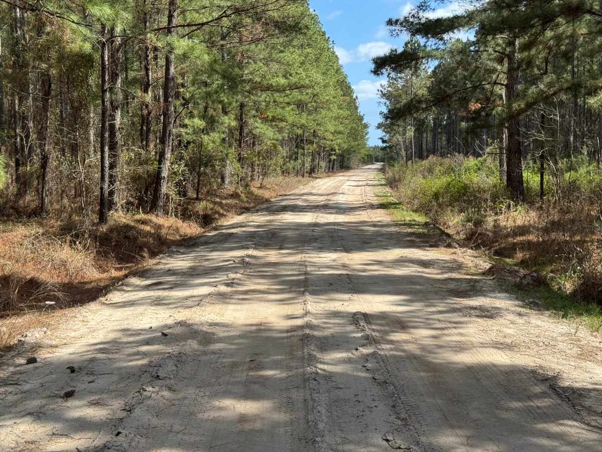 Main Road photo 4