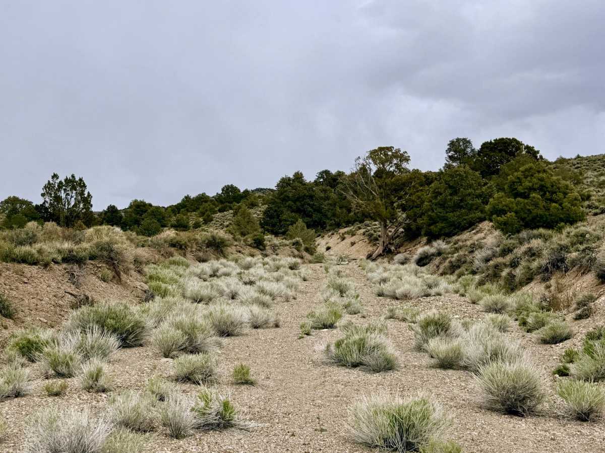 Cedar Corral - FS 44491 photo 4