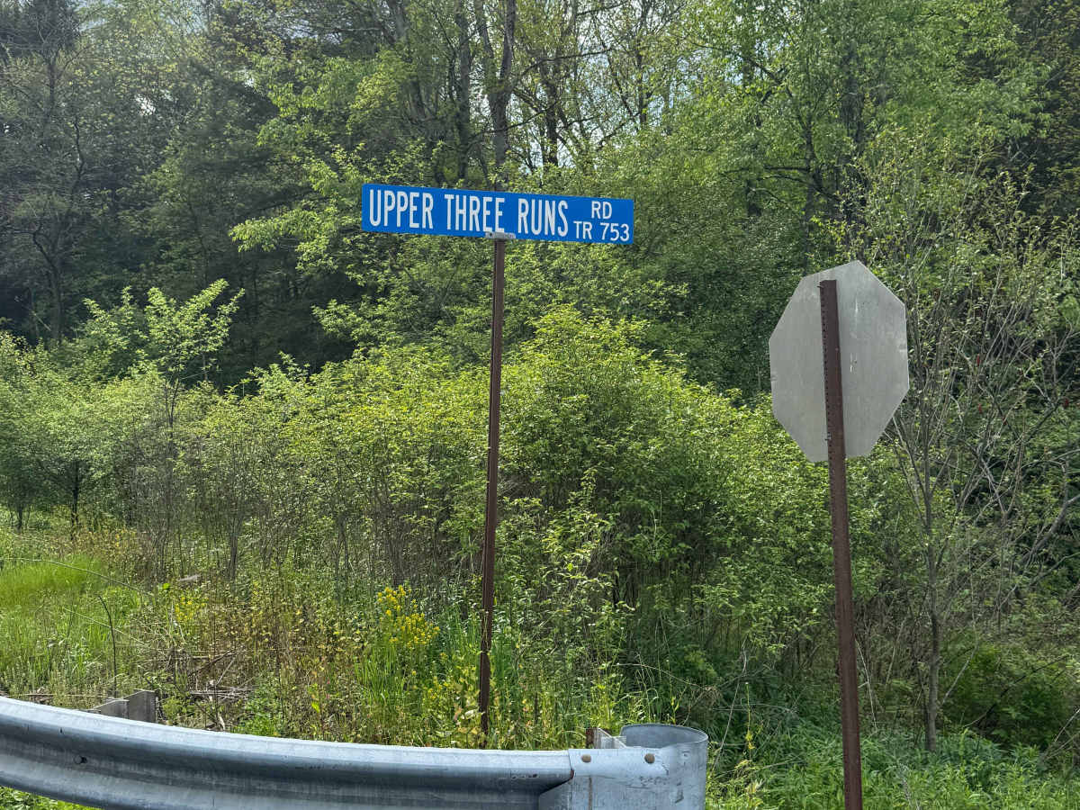 Upper Three Runs Road trail photo