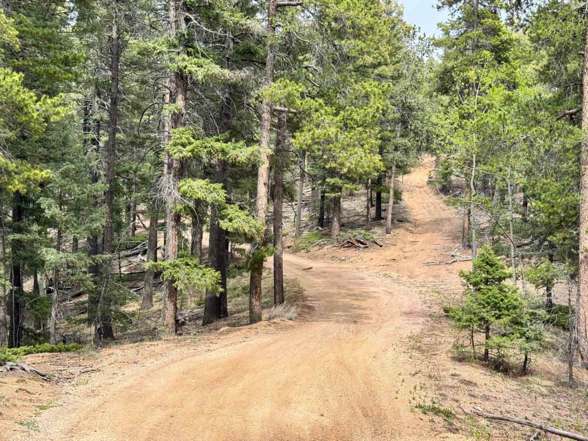 County Line Rd (FS324B) photo 5