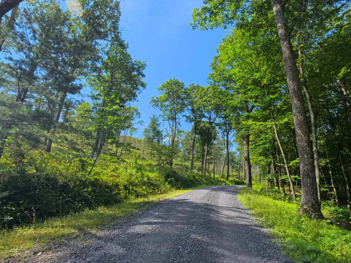 Boal Gap Road photo 4