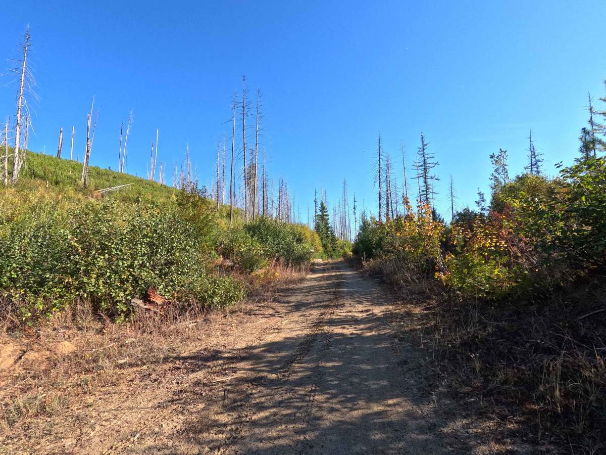 Klahowya Creek L - FS 1075L trail photo