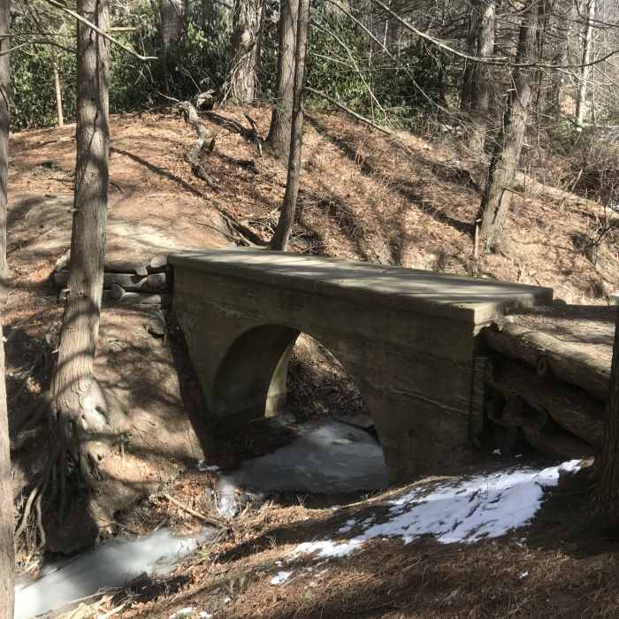 Near Maudslay State Park Loop