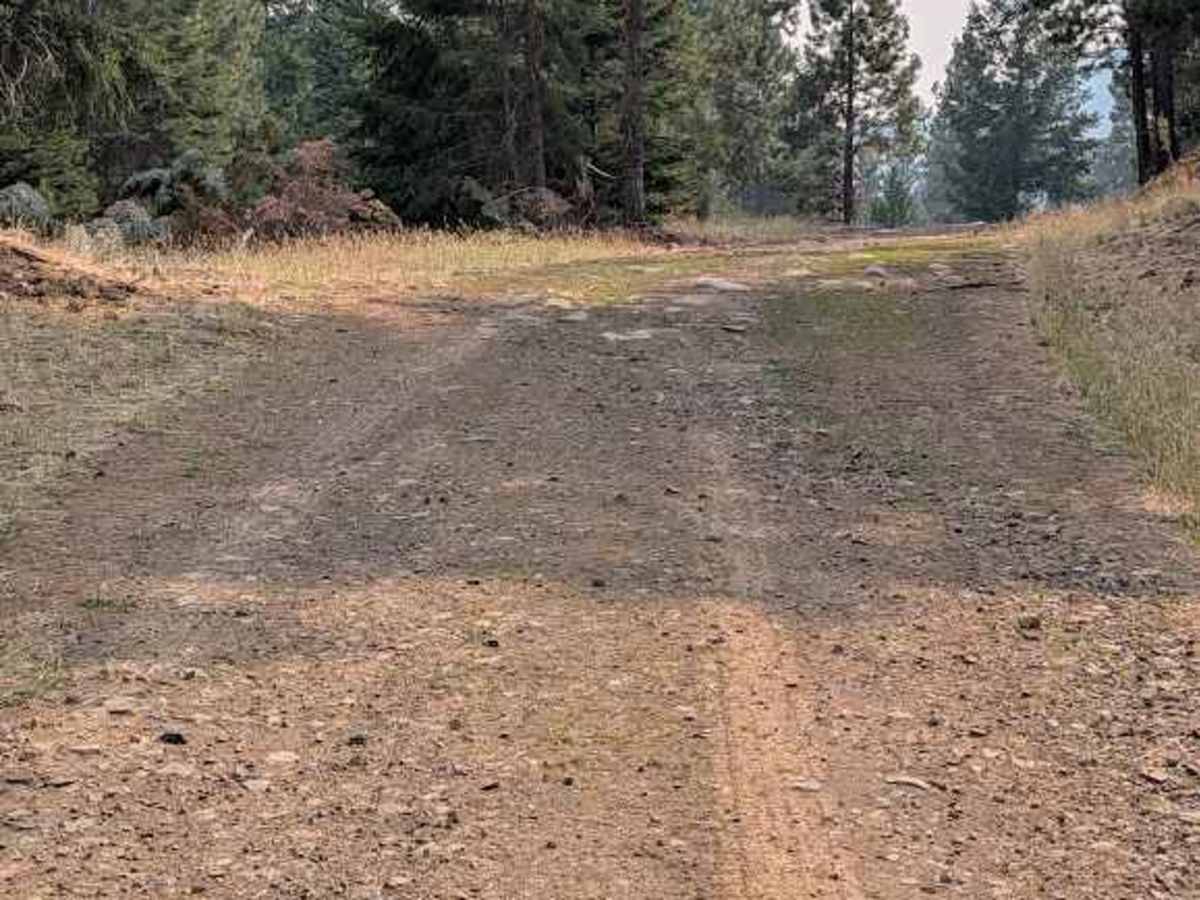 High Creek Road photo 4