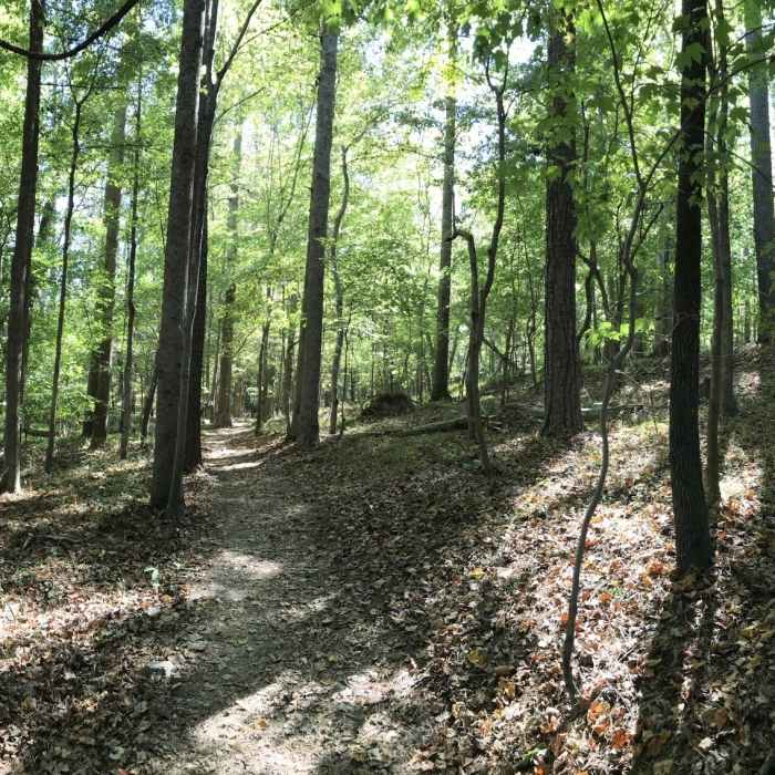 Entering the forest on the Laurel Bluff Trail. Near Laurel Bluff Trail (West)