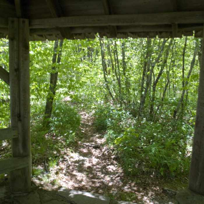 Near Craggy Gardens Near Craggy Gardens