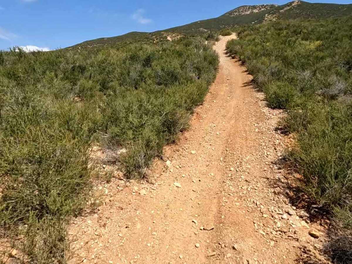 Break OHV Trail photo 2