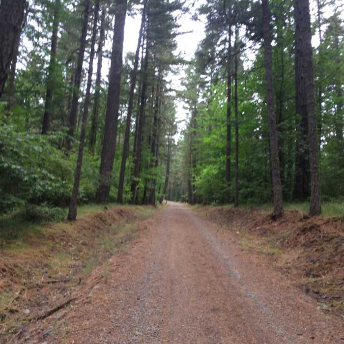 Near Oak Creek to McCulloch Peak