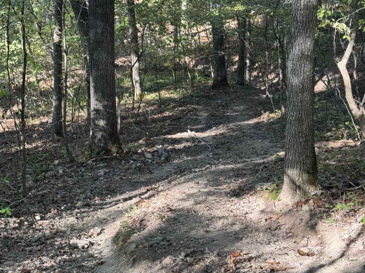 Sidewinder photo 5