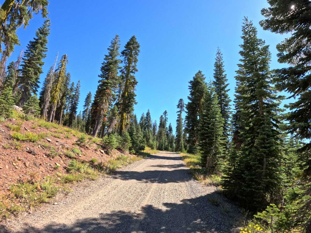 Pauley Creek - FS 93-003 photo 6