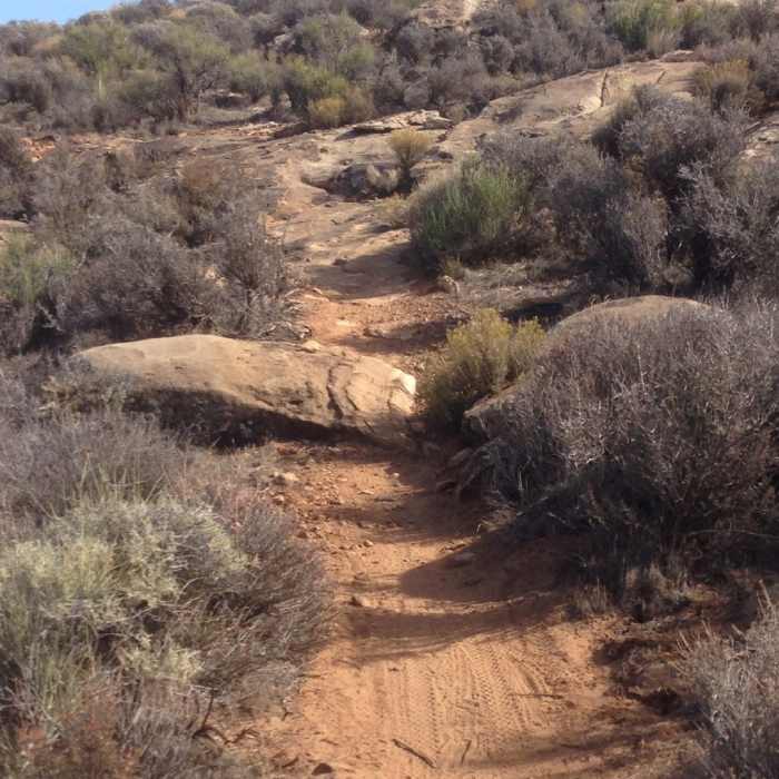 Near Rim Runner Trail