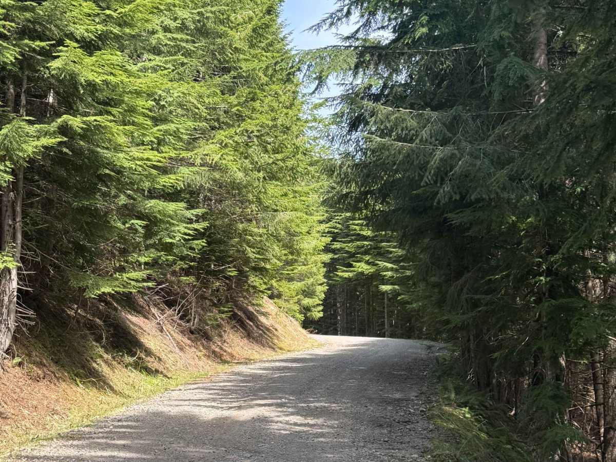Newaukum Road - FS 7100 photo 6