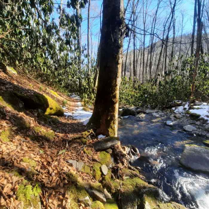 Just past the third creek fording down from Gunter Fork Cascade, heading toward Big Creek. Near Balsam Crosby Figure 8