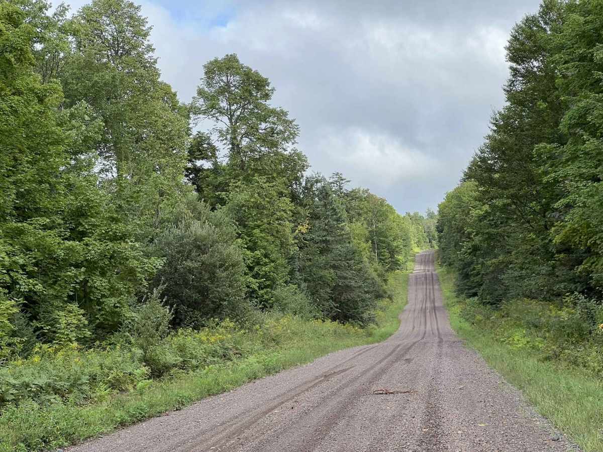 Stage Coach Road trail photo