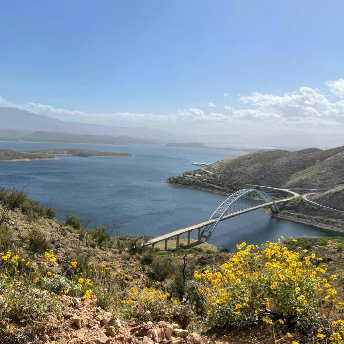 Near Vineyard Trail #131