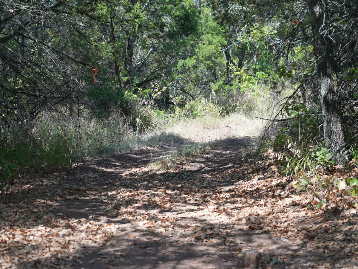 Blue 55 photo 2