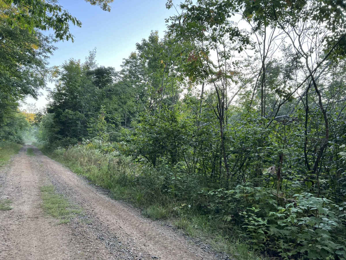 Forest County ATV/SXS 8 Mile Loop Trail 2 photo 5